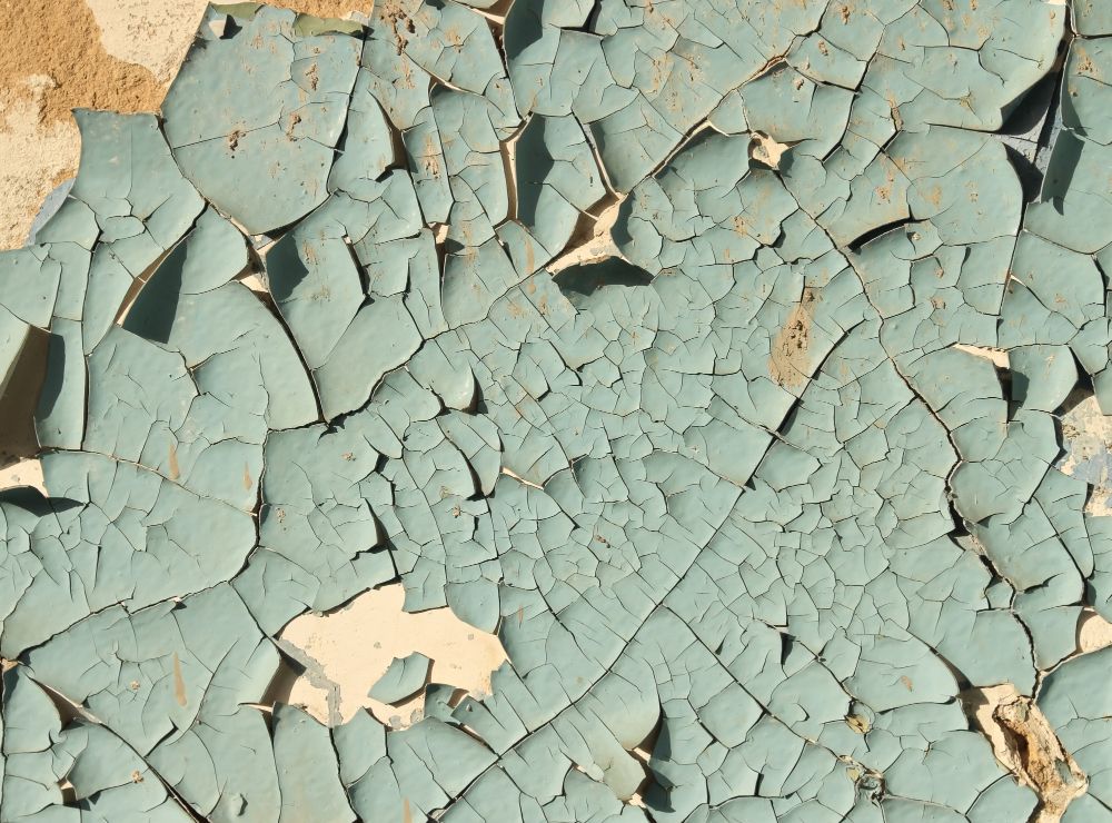 Alligatoring Paint: Causes and How to Fix It