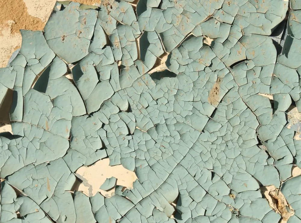 Alligatoring Paint: Causes and How to Fix It